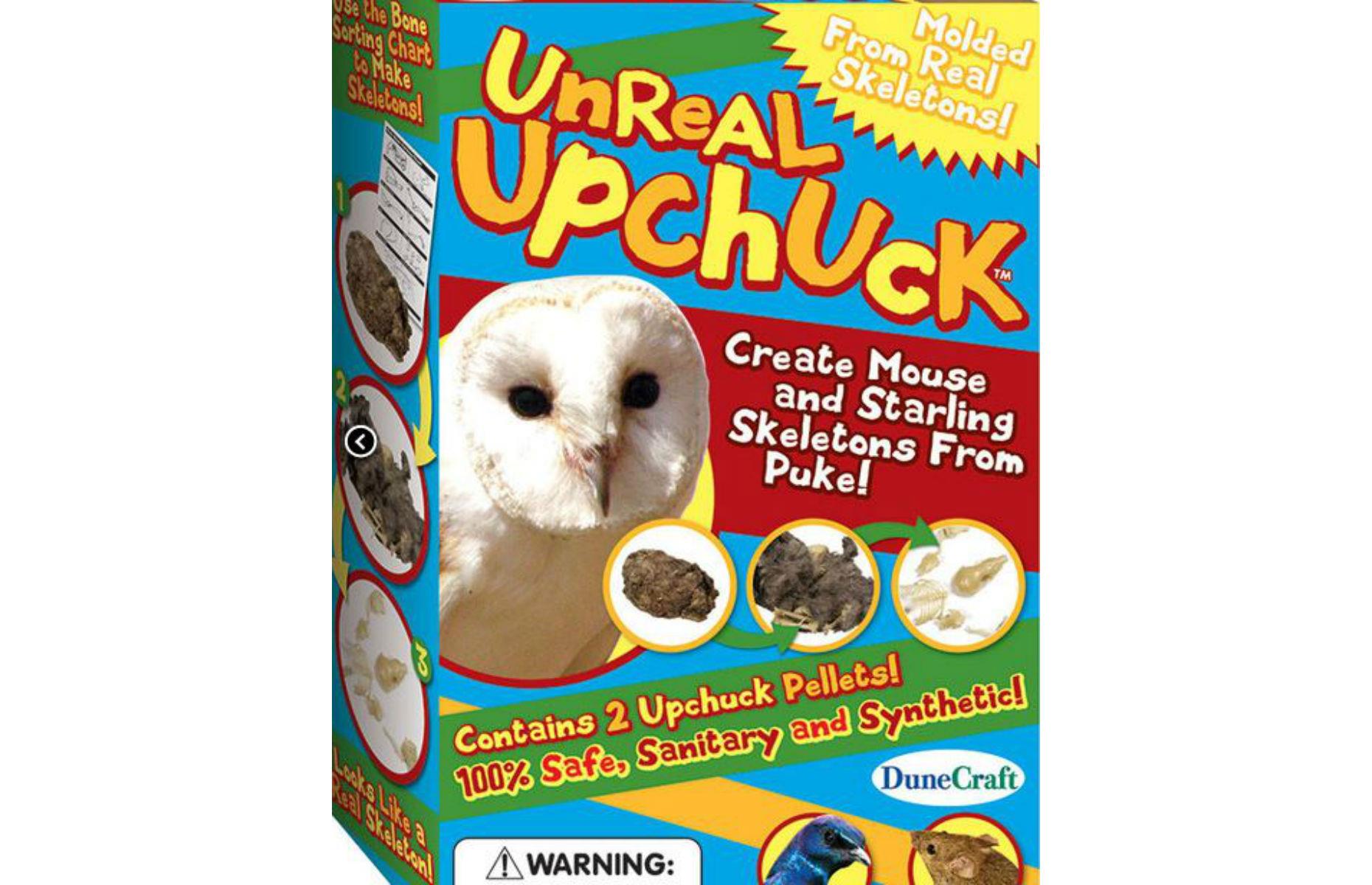 Owl vomit